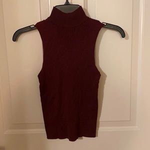 Burgundy Crop Top with Turtle Neck
